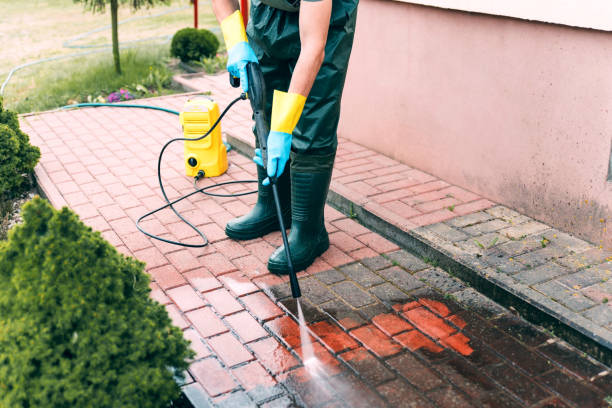 Best Residential House Exterior Washing  in Winter Garden, FL